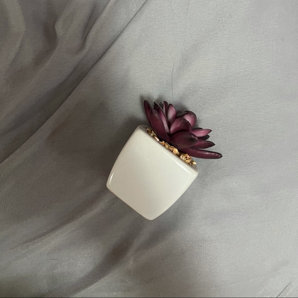 free with bundle! fake succulent☺️